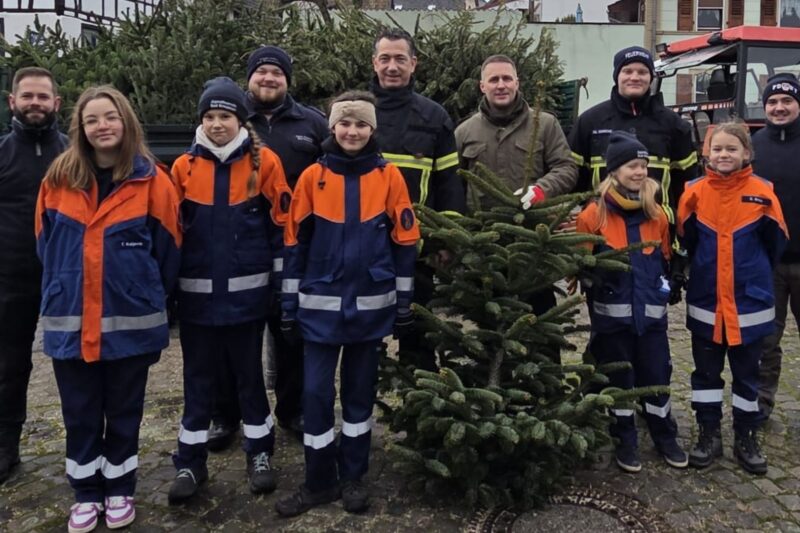 Tannenbaum Sammelaktion: OB Letz hilft in Bosenheim beim Einsammeln